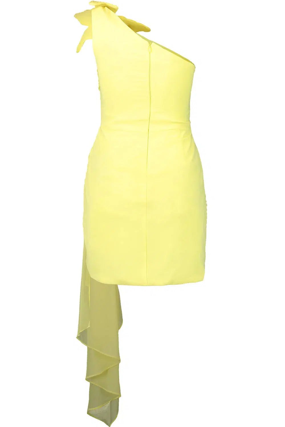 PATBO-Flower Applique Mini Dress-