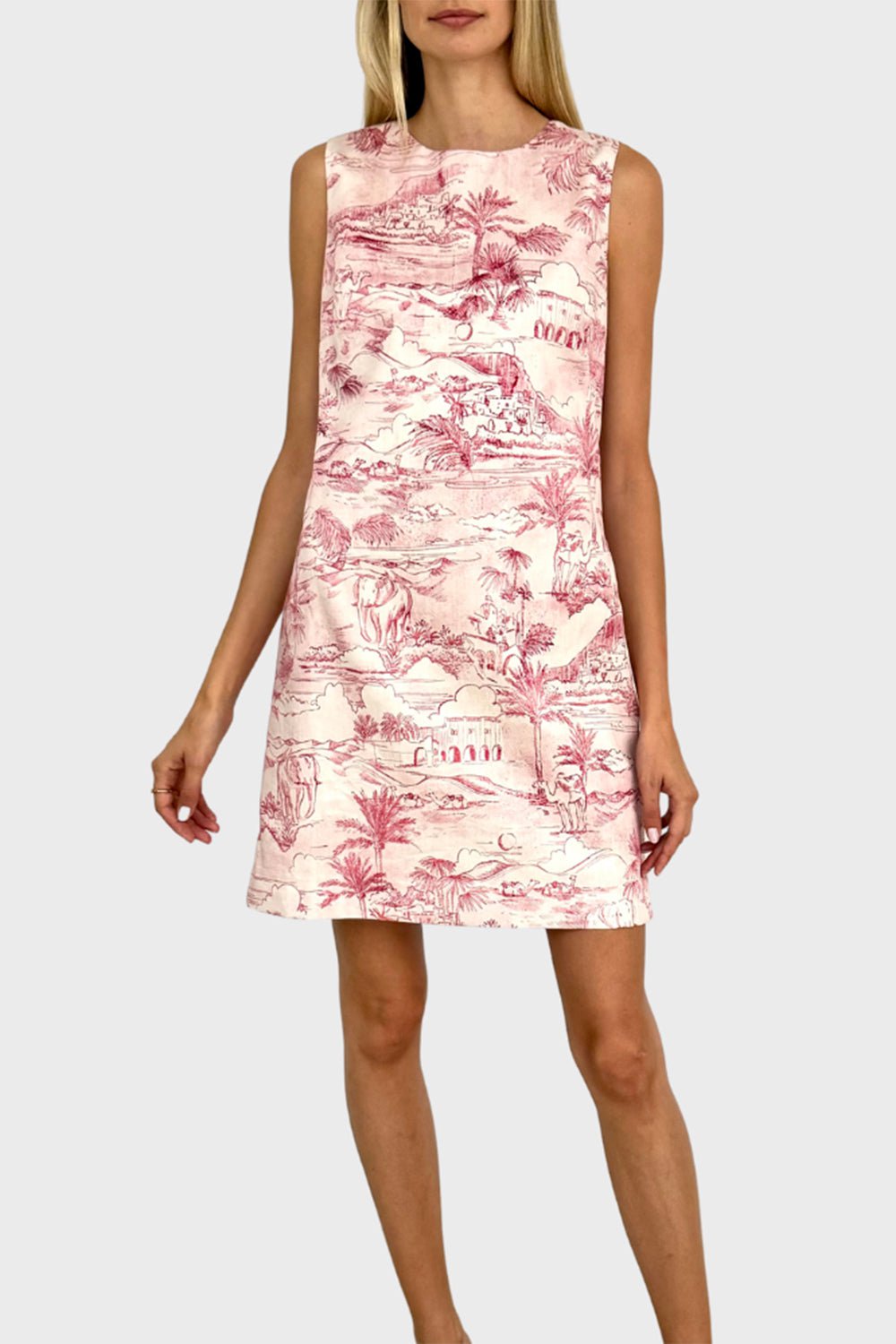 RANI ARABELLA-Printed Sleeveless Dress-