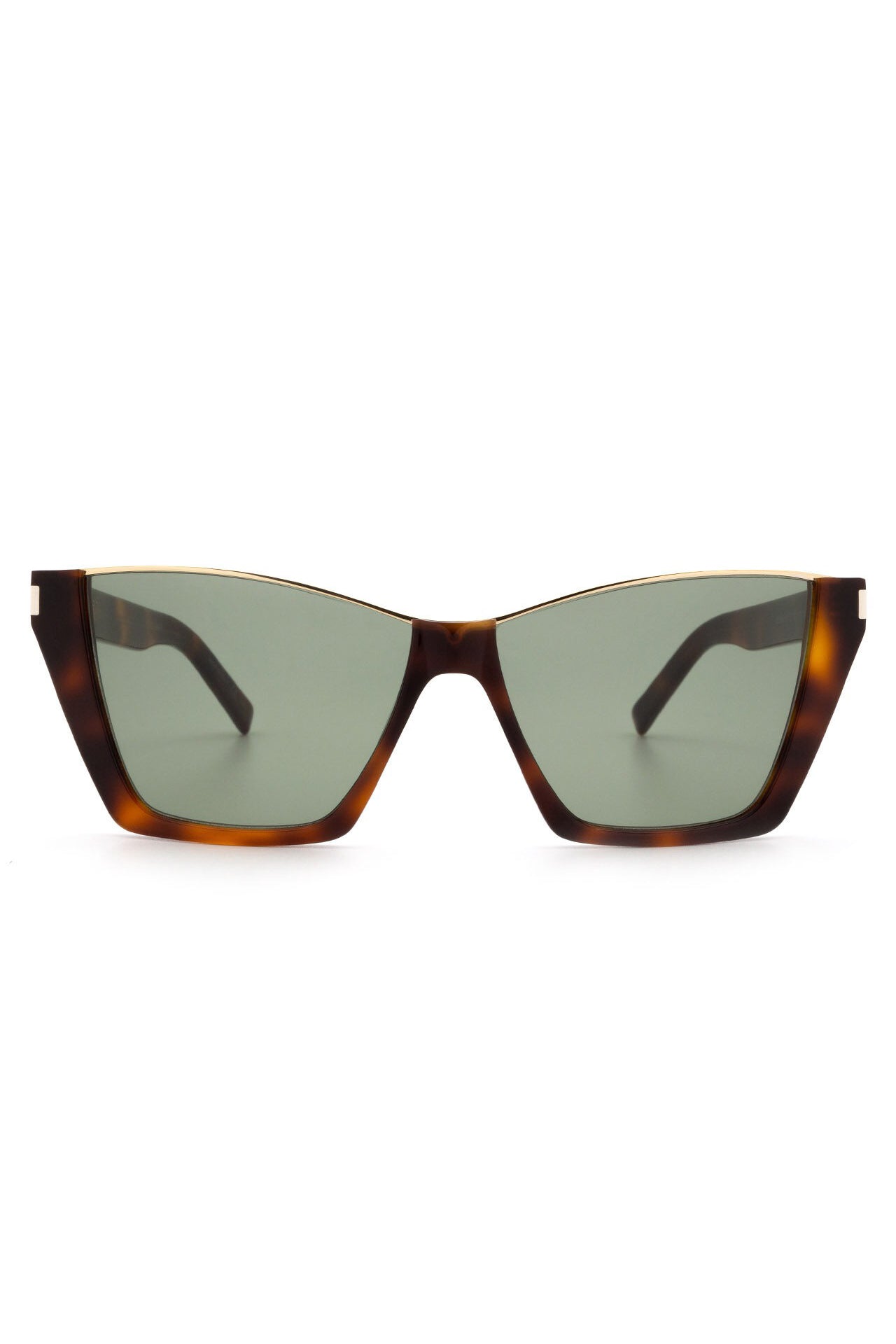 SAINT LAURENT-Kate Sunglasses - Havana-HAVANA