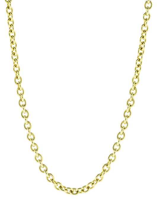 TAMARA COMOLLI-Belcher Chain Necklace-YELLOW GOLD
