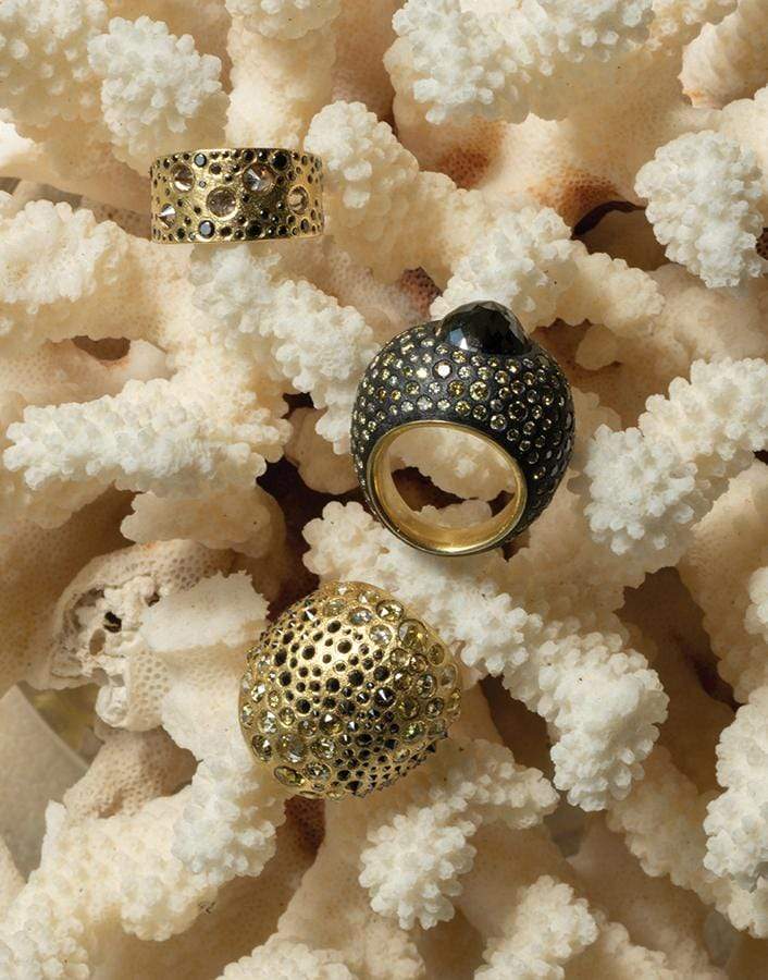 TODD REED-Black Diamond Dome Ring-YELLOW GOLD