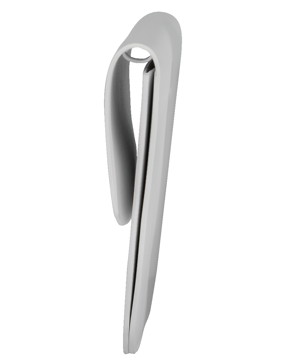 VICTORIA BECKHAM-Flat Eva Bag-WHITE