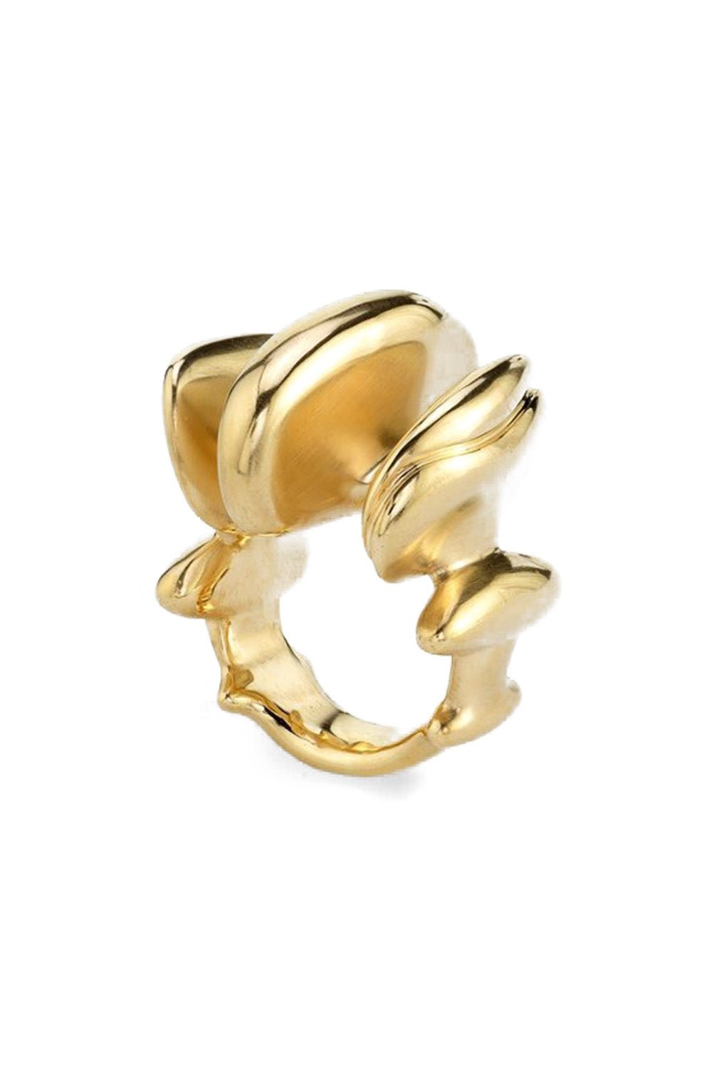 VRAM-Chrona Super Band Ring-YELLOW GOLD