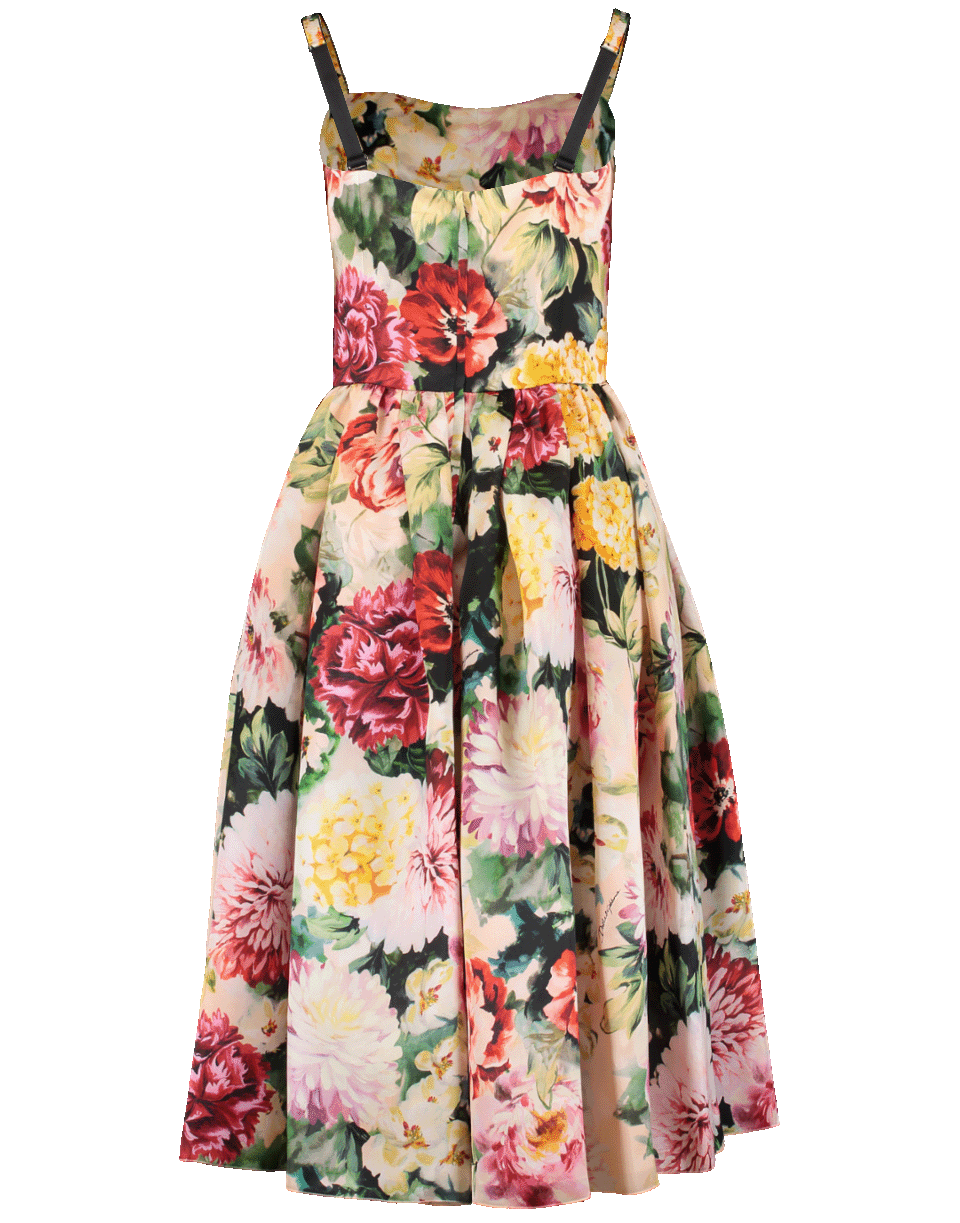 DOLCE & GABBANA-Fitted Floral Organza Dress-