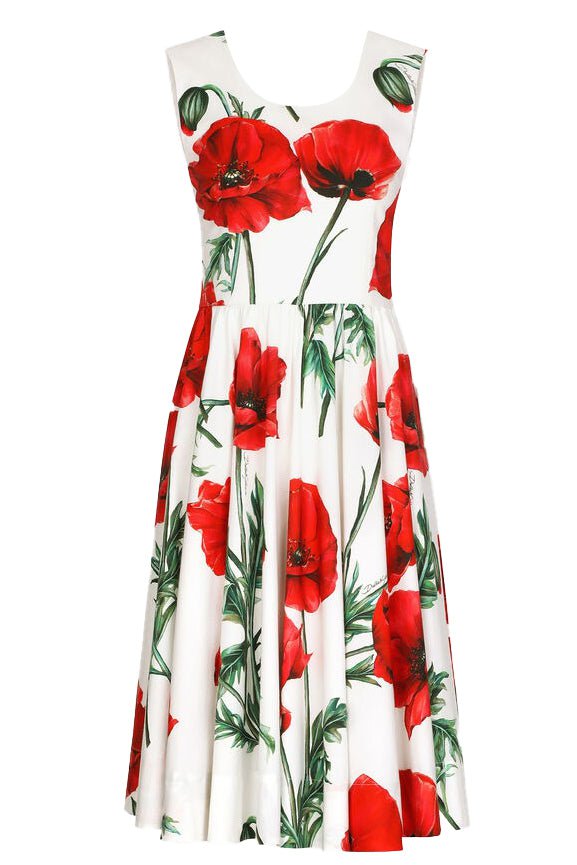 DOLCE & GABBANA-Printed Midi Dress-