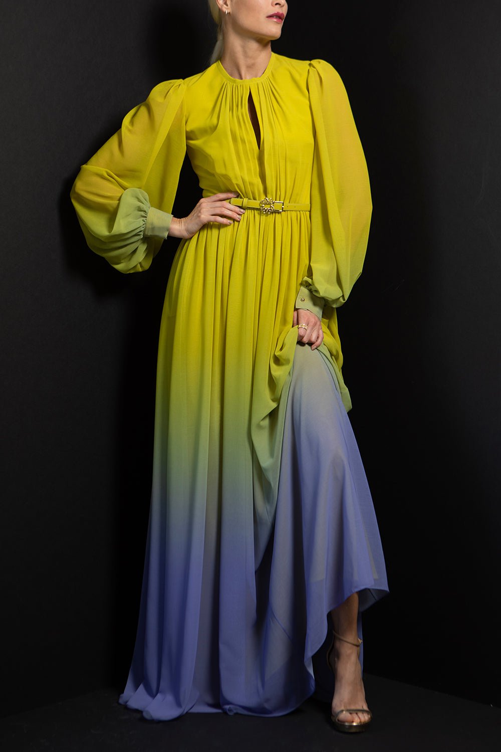 ELIE SAAB-Printed Long Dress-