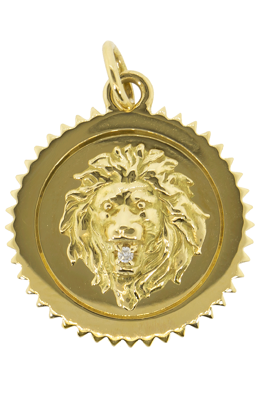 FOUNDRAE-Medium Strength Medallion-YELLOW GOLD