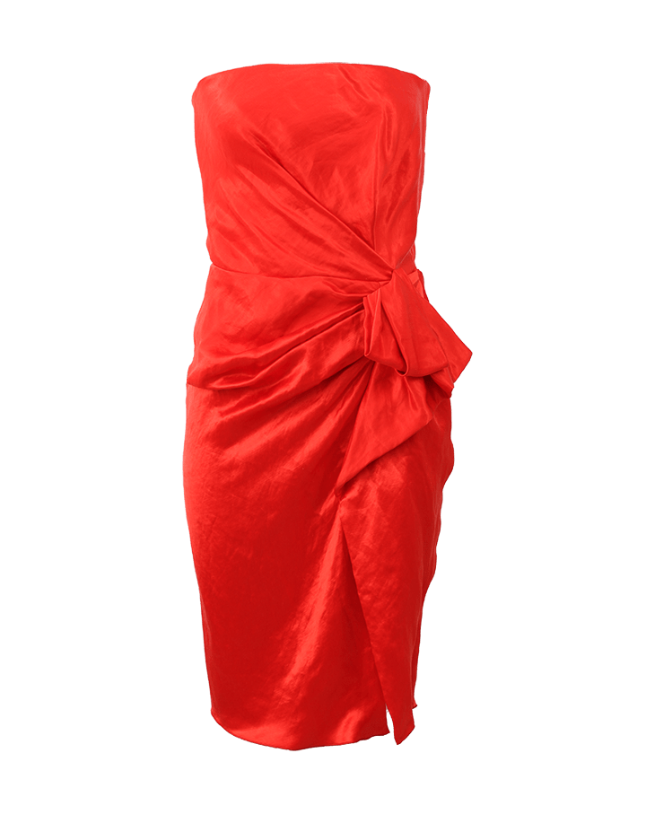LANVIN-Strapless Side Zip Dress-ROUGE