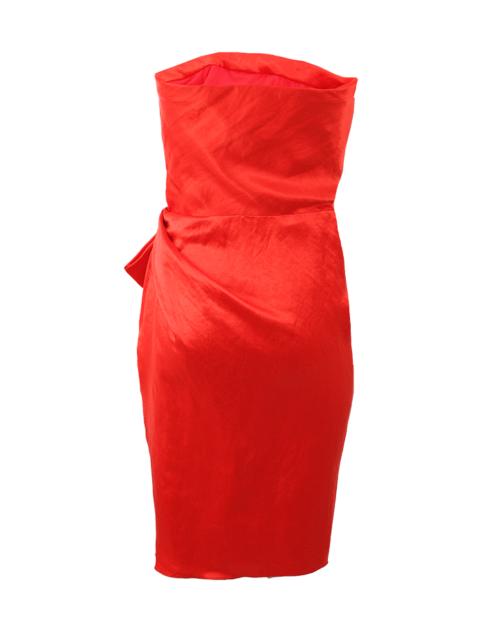 LANVIN-Strapless Side Zip Dress-ROUGE