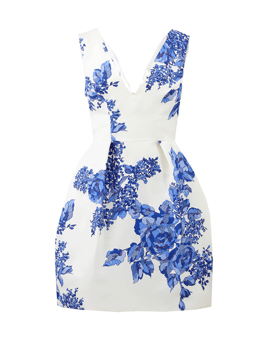 MONIQUE LHUILLIER-Rose Printed Dress-BLUE/WHT