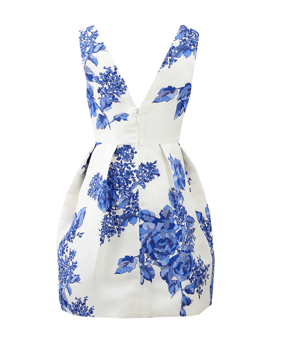 MONIQUE LHUILLIER-Rose Printed Dress-BLUE/WHT