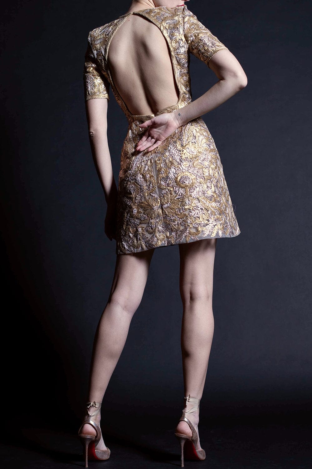 NAEEM KHAN-Embroidered Tulle Mini Dress-