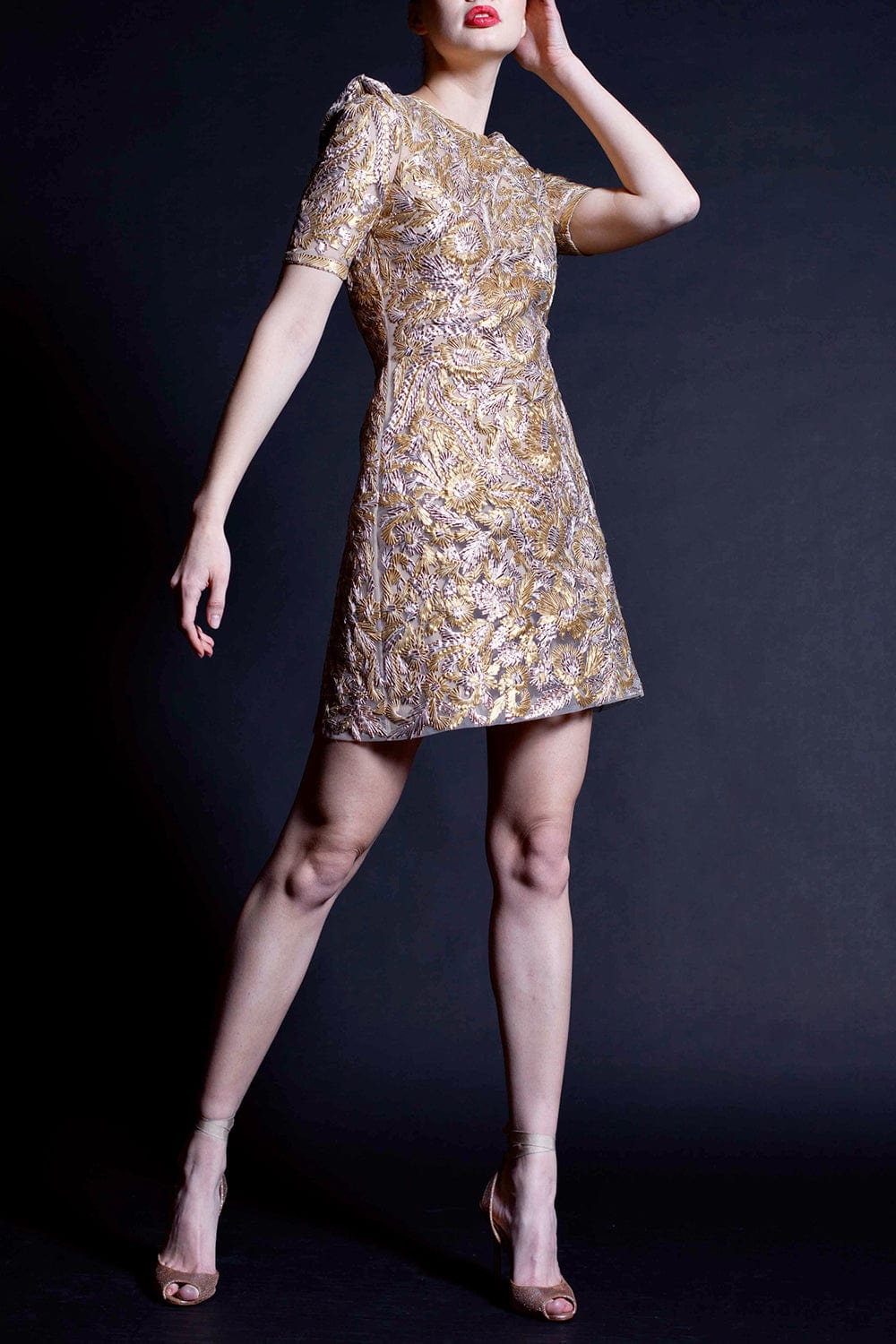 NAEEM KHAN-Embroidered Tulle Mini Dress-